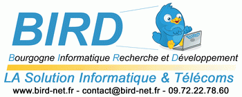 Logo BIRD
